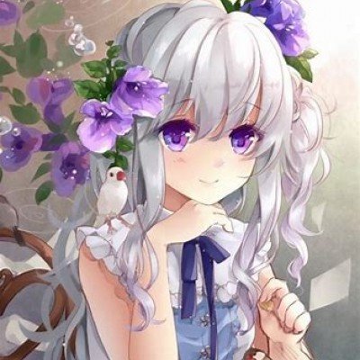 森林狼淘汰掘金